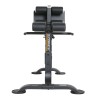 Dual Hyperextension - crunch