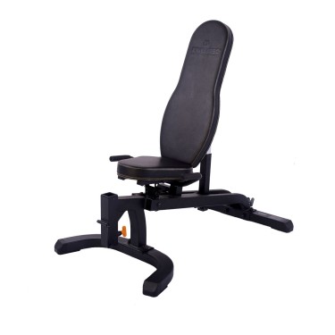 Professionals in bodybuilding and cardio training equipment