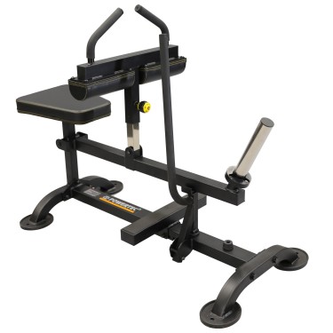 Seated Calf Raise
